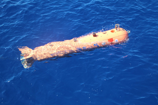 潜龙一号,潜器,多金属结核